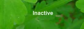 Uwharrie chapter contact information